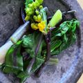 kei_chan4's cooksnap of when they made おいしい♫紅菜苔（コウサイタイ）の食べ方.