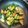 かっくろ's cooksnap of when they made とろっ！しゃき！白葱の醤油麹炒め.