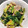 クック5YTKYD☆'s cooksnap of when they made 簡単♪ちぢみほうれん草と豚肉の中華炒め.
