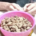 マリ丼's cooksnap of when they made 圧力鍋で簡単！ゆで落花生.