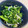 yu228's cooksnap of when they made 春菊としらすのごま酢和え.