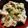 ｂｅｒｒｙ＋'s cooksnap of when they made ガッツリ旨ッ!!塩豚丼!!.