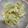 ポメちょん's cooksnap of when they made 爽やかな☆セロリとゆで卵のサラダ.
