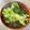 azbjbn's cooksnap of when they made 超簡単！かいわれイン☆味噌汁.