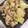 まきん家's cooksnap of when they made 簡単♡豚コマと大根の和風マヨ炒め♡.