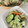 みなとのまんま's cooksnap of when they made 簡単!千切り野菜と大葉の浅漬け.