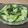 okapi☆☆'s cooksnap of when they made 10分でできる！シャキシャキ青菜炒め.