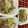 猫のミイヤ's cooksnap of when they made 白菜とごぼうの煮浸し☆.
