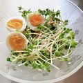 ふくmama✨✨'s cooksnap of when they made 【家つま】ツナと貝割れのマヨポン.