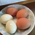 お山のエイ's cooksnap of when they made 圧力鍋で超速ゆで卵！半熟も固ゆでも◎.