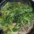 春のまま…1's cooksnap of when they made 根までおいしい♪セリ鍋.