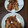 松潤LOVE♥️♥️'s cooksnap of when they made 我が家の柔らか＆ちょっと甘め生姜焼き.