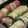 akuy2000's cooksnap of when they made レインボーロールSUSHI.