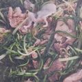 mataeeee's cooksnap of when they made 豚肉と水菜の煮物.