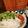 ダッフィーニーうに's cooksnap of when they made 新玉スライスドレッシングでサラダボウル.