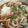 クック6DDPP8☆'s cooksnap of when they made ランチに！簡単！美味しい肉うどん（そば）.