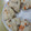 Cony◎'s cooksnap of when they made 貝の旨みの炊き込みごはん.