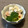 ユミタン's cooksnap of when they made はんぺんときゅうりのわさびマヨ和え.