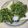 クック81NK9U☆'s cooksnap of when they made 簡単！サクッと！春菊のかき揚げ 天麩羅！.