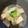 ぷーとんR's cooksnap of when they made ☆圧力鍋3分！カブと人参、厚揚げの煮物☆.