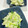 y_u♡'s cooksnap of when they made レンジで簡単♡長ネギの和え物～.
