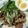 ちびっことんとん's cooksnap of when they made 家にあるものでズボラ魯肉飯.