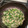クックCYWKFW☆'s cooksnap of when they made レンジで簡単★ほうれん草とひき肉の丼弁当.