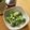 pali's cooksnap of when they made ブロッコリーとクリチのおかか和え.