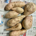 島子☆'s cooksnap of when they made 長期保存しましょ！さつまいも.