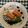 クックMRC59P☆'s cooksnap of when they made 豚の角煮.