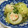chocoraママ's cooksnap of when they made ロール白菜☆とろ～り和風あんかけ.