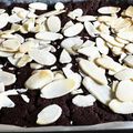 クックcarat☆'s cooksnap of when they made 米粉と豆腐で作る【ブラウニー】.