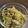 四児のハハ's cooksnap of when they made 簡単☆美味しいザワークラウト.