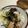 papikun's cooksnap of when they made しょうが香る大根のお味噌汁.