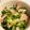 ◇ひさ's cooksnap of when they made ほうれん草とベーコンのソテー.