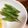 ぱてすん's cooksnap of when they made お弁当に♪　いんげんと人参のレンジ和え♡.