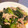 麻羽香's cooksnap of when they made 豚肉と小松菜のオイスターソース炒め.