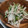 fu♪♪'s cooksnap of when they made 簡単♪大根と水菜のツナマヨわさびサラダ.