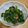 ポメちょん's cooksnap of when they made 簡単！地味旨♪納豆とほうれん草のごま和え.
