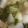 クックHDP0M2☆'s cooksnap of when they made 生姜香る♡カブのあったかとろみスープ.