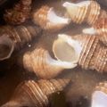ふぁんころ's cooksnap of when they made つぶ貝の塩ゆで☺️.