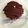 mihosweet's cooksnap of when they made チョコレートモンブラン.