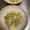 ピーナッツ子♪'s cooksnap of when they made キャベツと豚バラの重ね蒸し.