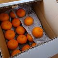 keisweet's cooksnap of when they made 箱買い♬みかんの保存方法.