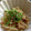 TYSK's cooksnap of when they made ✿えのきとツナのおかか和え✿.
