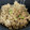えいてぃえいと's cooksnap of when they made 焼肉のタレで、豚と野菜の簡単炊き込みご飯.
