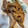 わたるんママ's cooksnap of when they made 豚肉とれんこんの炒め.