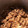 ベアファミリー's cooksnap of when they made 圧力鍋でごぼうとこんにゃくの煮物.