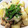 クッキン坊主's cooksnap of when they made 豚肉と長芋とナスの和風炒め.