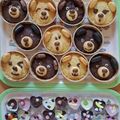 ぽん♥ 's cooksnap of when they made ☆チョコカップケーキ☆.